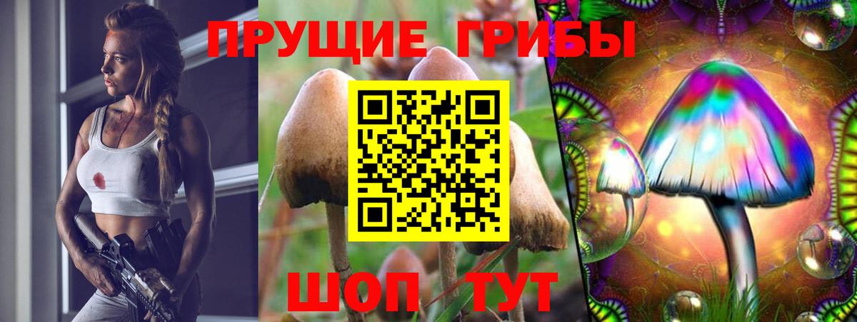 Псилоцибиновые грибы прущие грибы  Галлюциногенные грибы мухоморы  Наро-Фоминск  Вход с VPN 